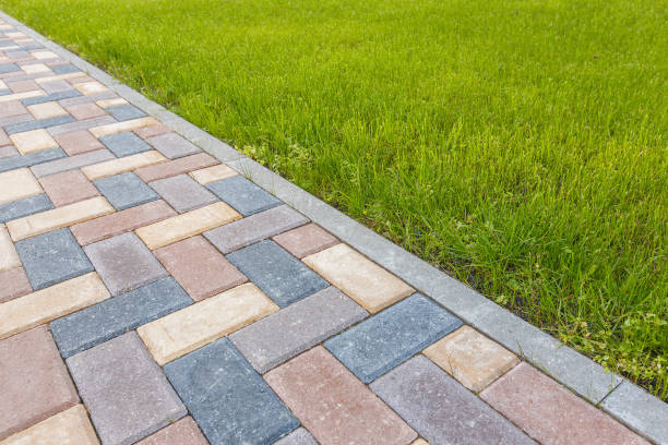 Best Driveway Paving Near Me  in Chimayo, NM